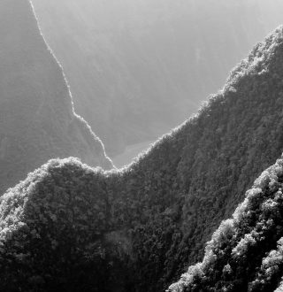 philippe-bout-WXAy7HNUskU-unsplash_1920x1280